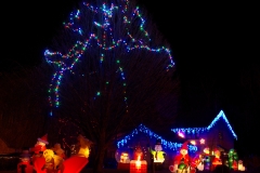 2008-12-21 Gibbsey's Christmas lights