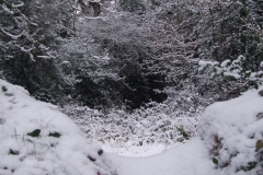 2009-02-02 Southampton Common and environs in the snow