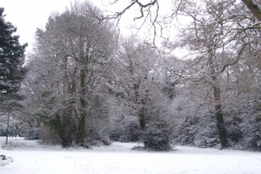 2009-02-02 Southampton Common and environs in the snow