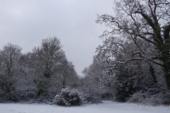 2009-02-02 Southampton Common and environs in the snow