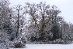 2009-02-02 Southampton Common and environs in the snow