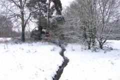 2009-02-02 Southampton Common and environs in the snow