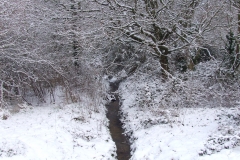 2009-02-02 Southampton Common and environs in the snow