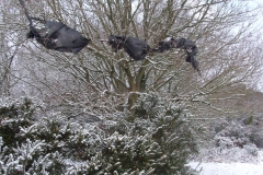 2009-02-02 Southampton Common and environs in the snow