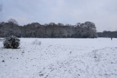 2009-02-02 Southampton Common and environs in the snow