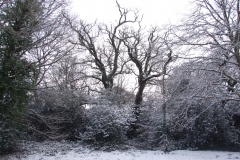 2009-02-02 Southampton Common and environs in the snow