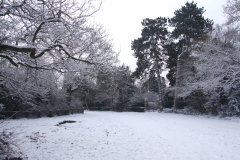 2009-02-02 Southampton Common and environs in the snow