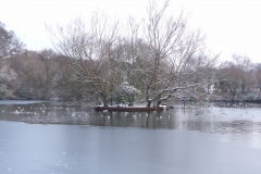 2009-02-02 Southampton Common and environs in the snow
