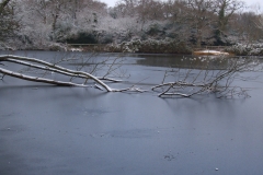 2009-02-02 Southampton Common and environs in the snow