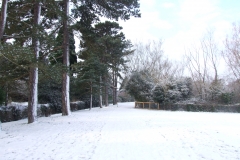 2009-02-02 Southampton Common and environs in the snow