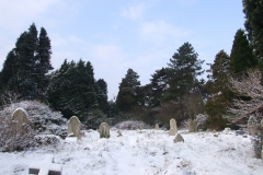 2009-02-02 Southampton Common and environs in the snow