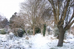 2009-02-02 Southampton Common and environs in the snow