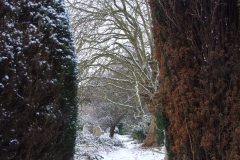 2009-02-02 Southampton Common and environs in the snow