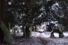 2009-02-02 Southampton Common and environs in the snow