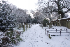 2009-02-02 Southampton Common and environs in the snow