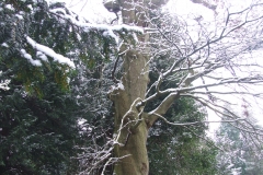 2009-02-02 Southampton Common and environs in the snow