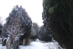 2009-02-02 Southampton Common and environs in the snow