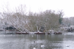 2009-02-02 Southampton Common and environs in the snow