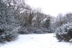2009-02-02 Southampton Common and environs in the snow