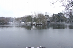 2009-02-02 Southampton Common and environs in the snow