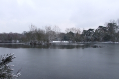 2009-02-02 Southampton Common and environs in the snow