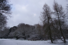 2009-02-02 Southampton Common and environs in the snow