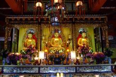 20090402-dscf9840-lantau