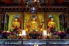 20090402-dscf9845-lantau