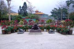 20090402-dscf9907-lantau