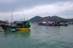 20090403-dscfa015-tai-o