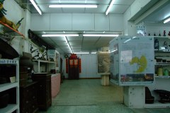 20090403-dscfa019-tai-o