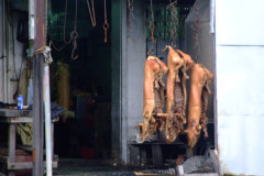 20090403-dscfa304-tai-o