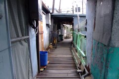20090403-dscfa343-tai-o