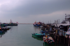 20090403-dscfa365-tai-o