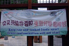 20090403-dscfa368-tai-o