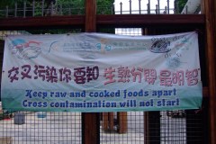 20090403-dscfa372-tai-o
