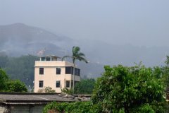 20090405-dscf1337-mui-wo