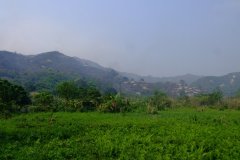 20090405-dscf1369-mui-wo