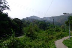 20090405-dscf1401-mui-wo
