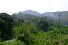 20090405-dscf1402-mui-wo