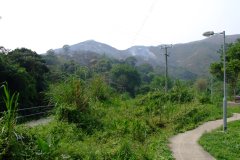 20090405-dscf1405-mui-wo