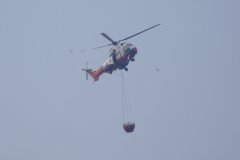 20090405-dscf1410-mui-wo