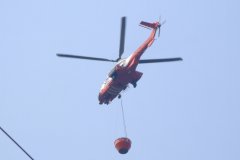 20090405-dscf1422-mui-wo