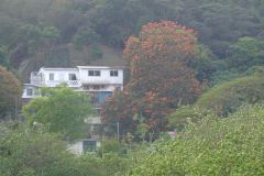 20090405-dscf1431-mui-wo