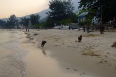 20090405-dscf1476-mui-wo