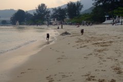 20090405-dscf1479-mui-wo