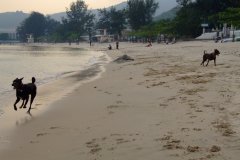 20090405-dscf1480-mui-wo