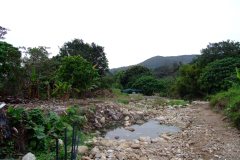 20090407-dscf1500-mui-wo