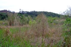 20090407-dscf1505-mui-wo