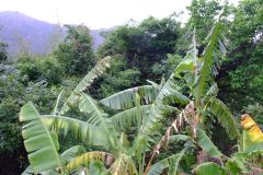 20090407-dscf1507-mui-wo